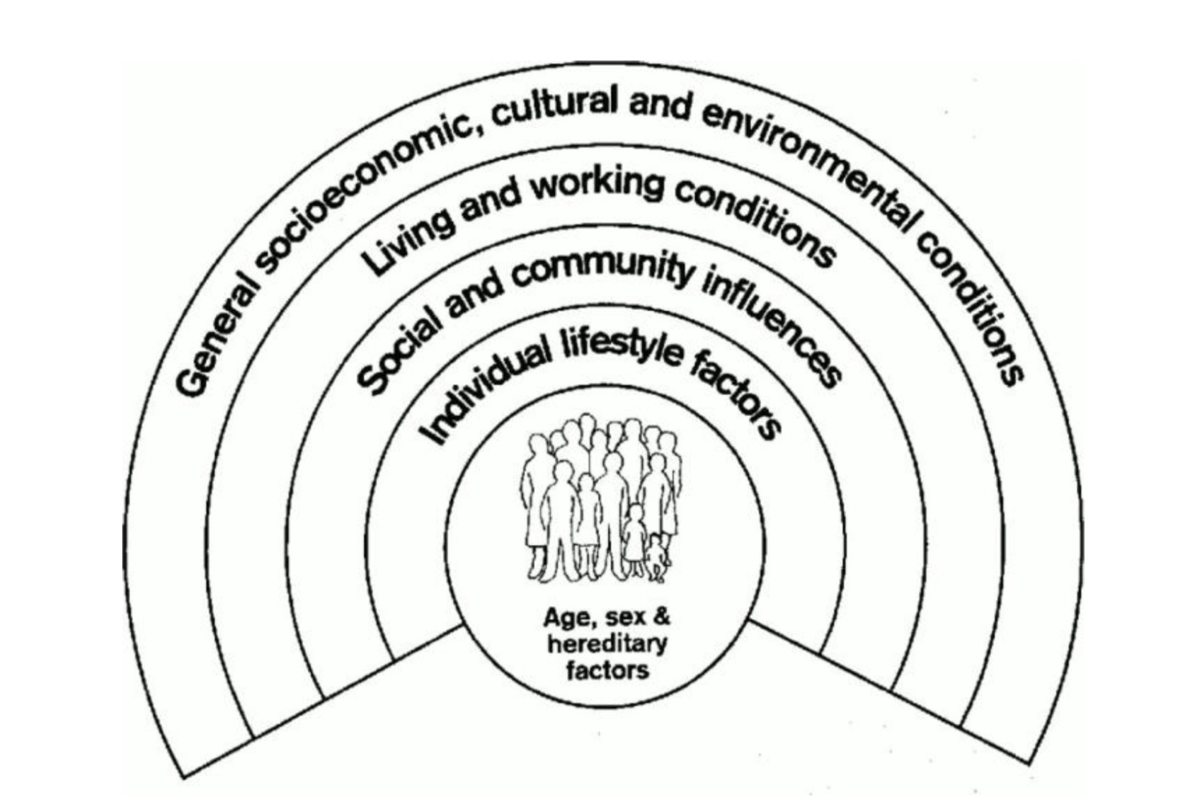 social model of health