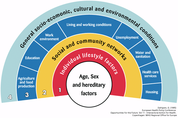 social economic and cultural factors