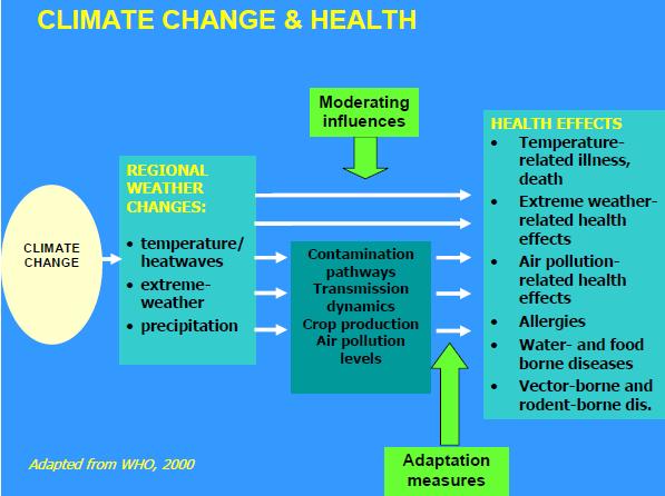 The Effects Of Global Warming And Climate Change Health Knowledge