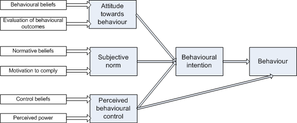 Theory of reasoned action essay